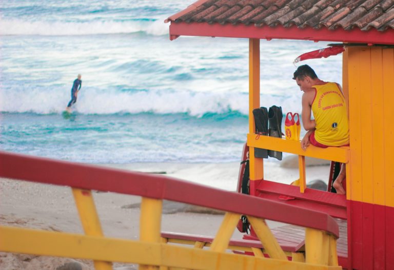 Read more about the article The Crucial Role of Lifeguards